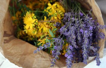 Herbs against parasites in the body