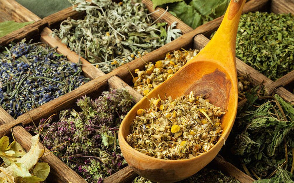 dried herbs against parasites in the body