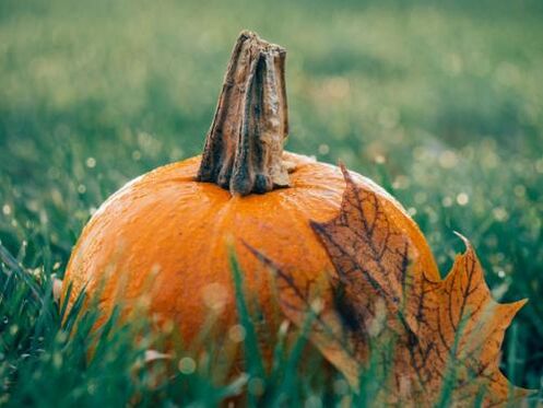 Pumpkin seeds from parasites in the body