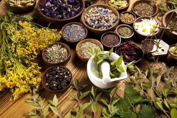 Herbs to remove parasites from the body